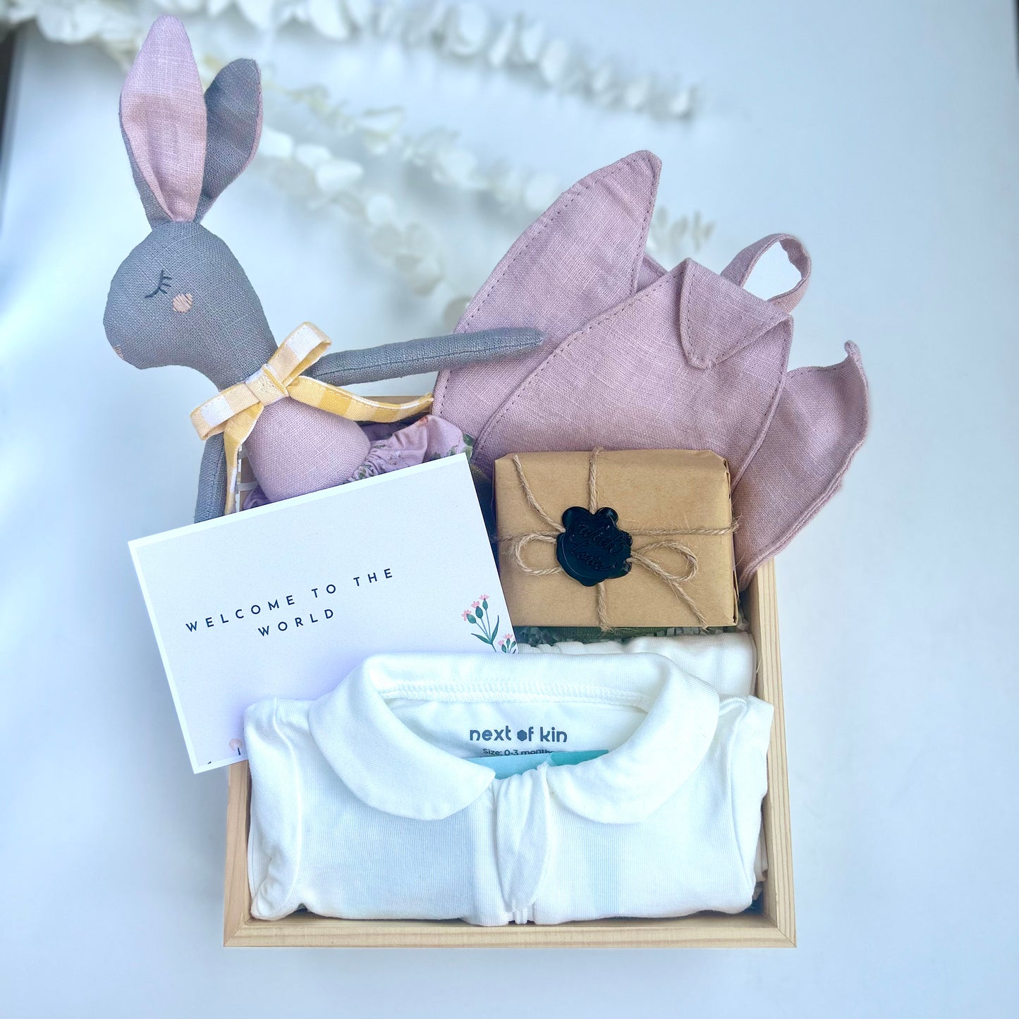 Welcome Baby Box
